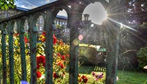 Dan Bailey, Saltaire