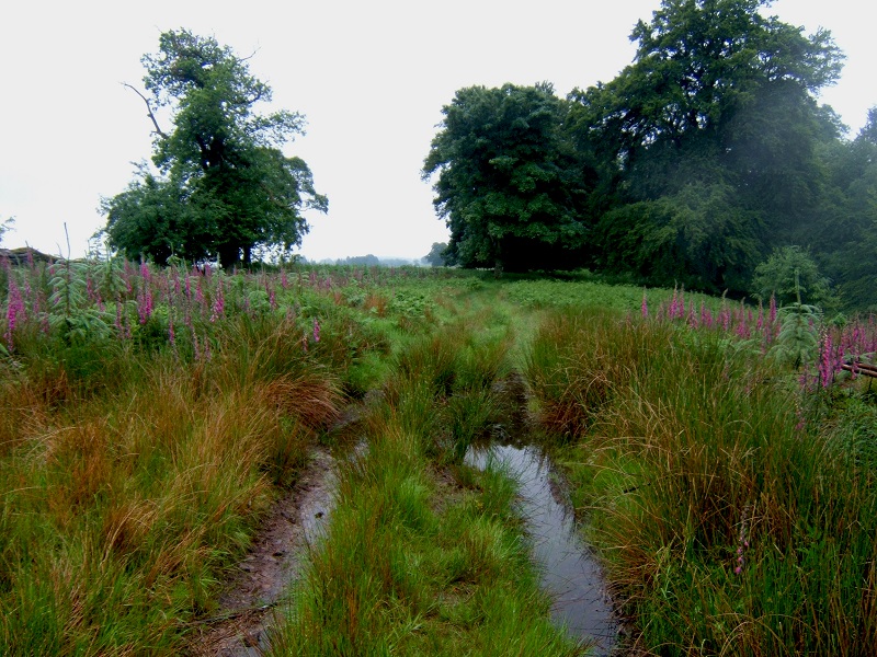 Road to Saltaire