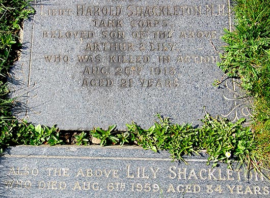 Harold Shackleton